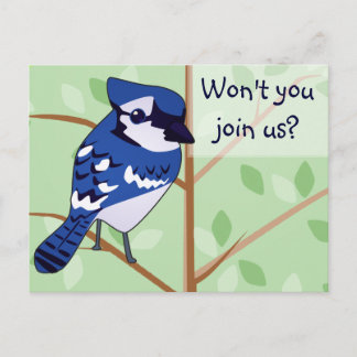 Woodland Blue Jay Einladung POSTCARD