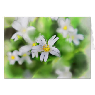 WOODLAND-BLUME