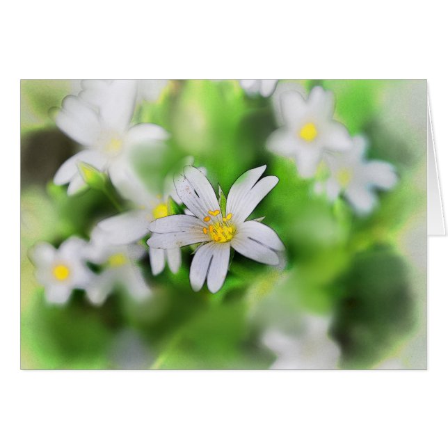 WOODLAND-BLUME (Vorderseite (Horizontal))