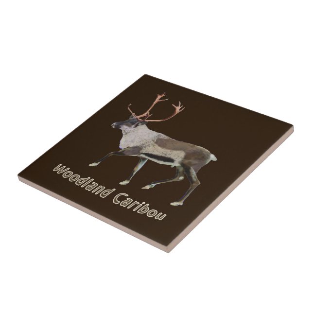 Woodland Caribbean Fliese (Seite)