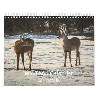 Woodland Creatures Nature Kalender