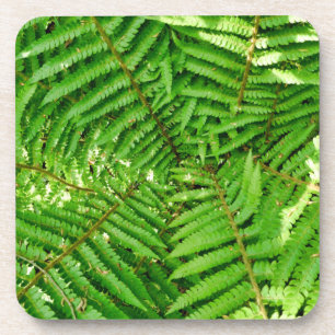 Woodland Ferns Getränkeuntersetzer