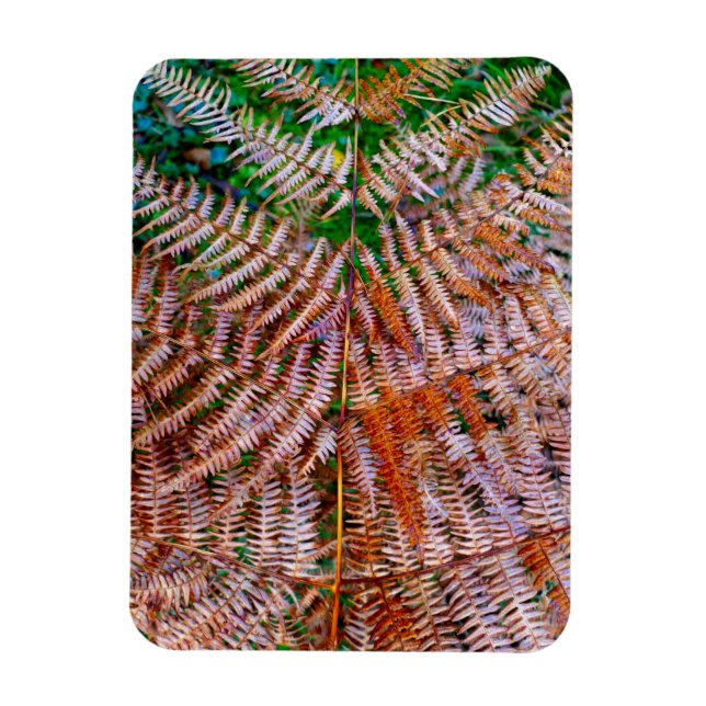 Woodland Ferns Magnet (Vertikal)