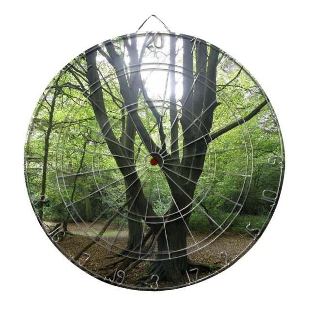 Woodland Sunshine Dart Board Dartscheibe (vorne)