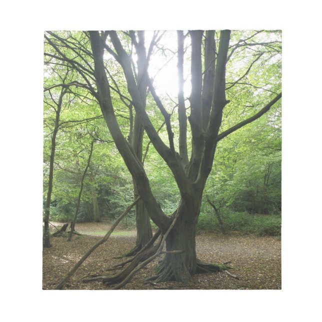 Woodland Sunshine Notepad Notizblock (Vorderseite)