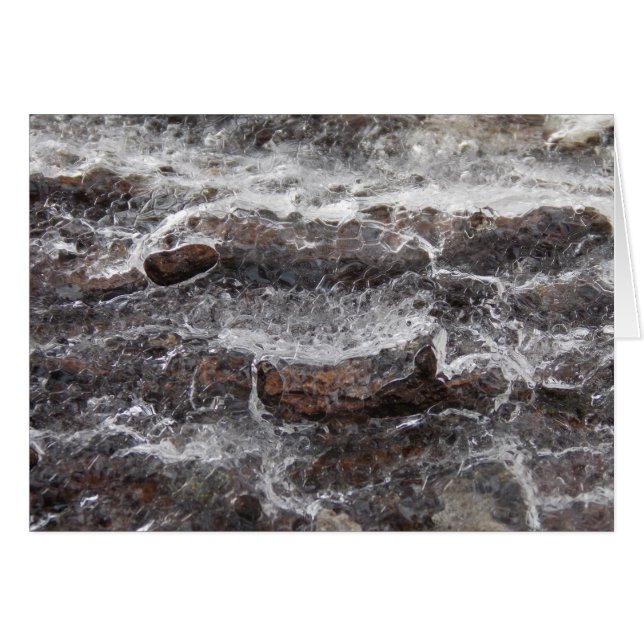 Woodness II (Vorderseite (Horizontal))