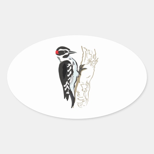 Woodpecker-Abbildung Ovaler Aufkleber (Vorderseite)