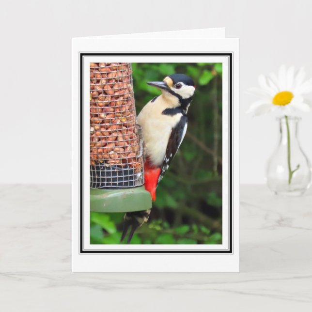 Woodpecker Greetings Card Karte (Kleine Pflanze)