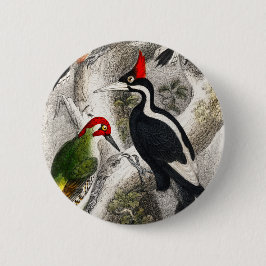 Woodpecker, Grüner Specker, Woodpecker Bird Button