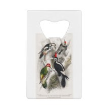 Woodpecker, Grüner Specker, Woodpecker Bird