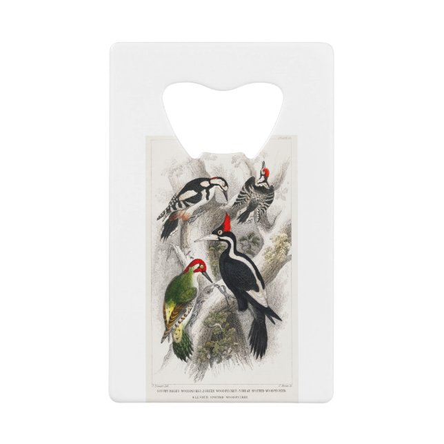 Woodpecker, Grüner Specker, Woodpecker Bird Geldbeutel Flaschenöffner (Vorderseite)