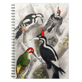 Woodpecker, Grüner Specker, Woodpecker Bird Notizblock