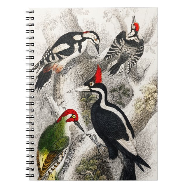 Woodpecker, Grüner Specker, Woodpecker Bird Notizblock (Vorderseite)