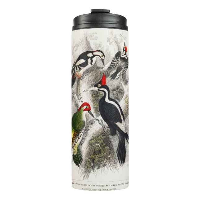 Woodpecker, Grüner Specker, Woodpecker Bird Thermosbecher (Vorderseite)