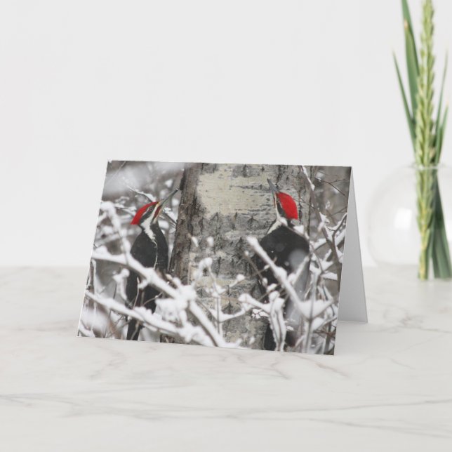 Woodpecker im Winter Karte (Vorderseite)
