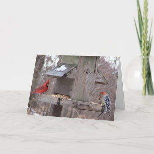 Woodpecker&Male Kardinal Karte