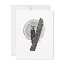 Woodpecker Mandala