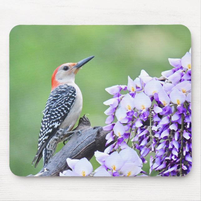 Woodpecker Mousepad (Vorne)