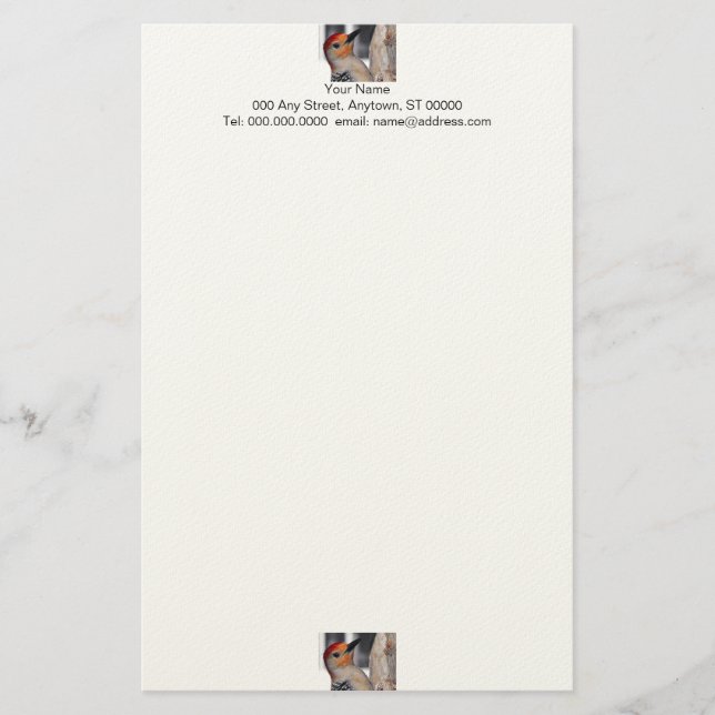 Woodpecker Portrait Stationery Briefpapier (Vorderseite)