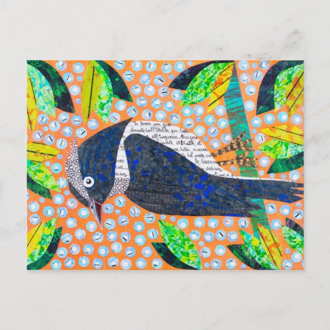 Woodpecker Postkarte (Vorderseite)