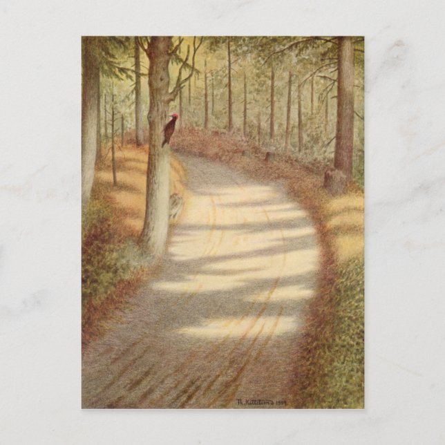 Woodpecker von Theodor Severin Kittelsen Postkarte (Vorderseite)