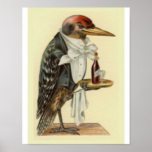 Woodpecker Waiter Vintag Bird Illustration Poster