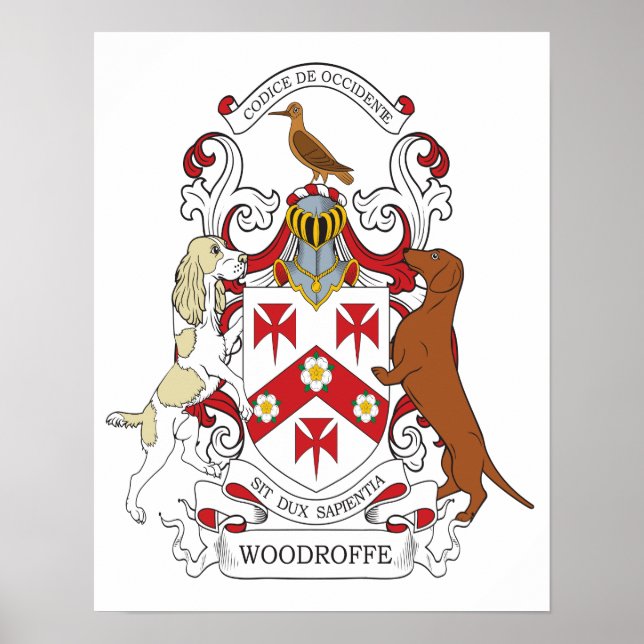 Woodroffe Custom 2 Poster (Vorne)