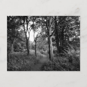 Woods Bute Park, Cardiff Postkarte