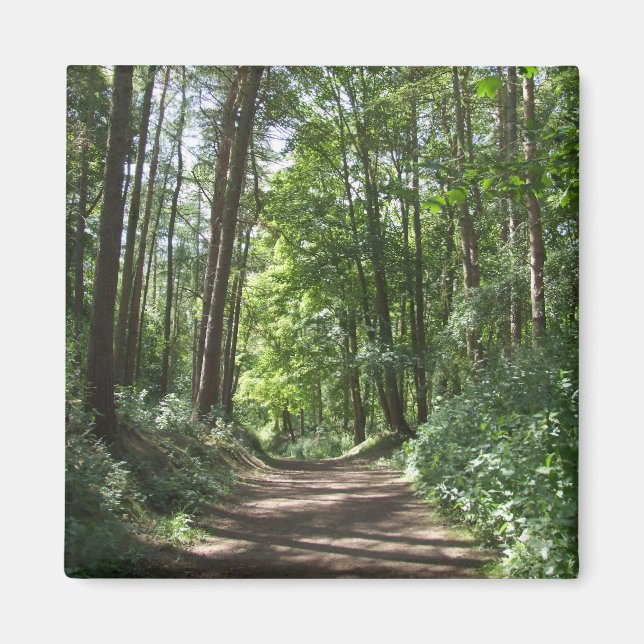 Woods Magnet (Vorne)