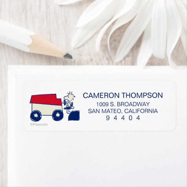 Woodstock Zamboni (Insitu)