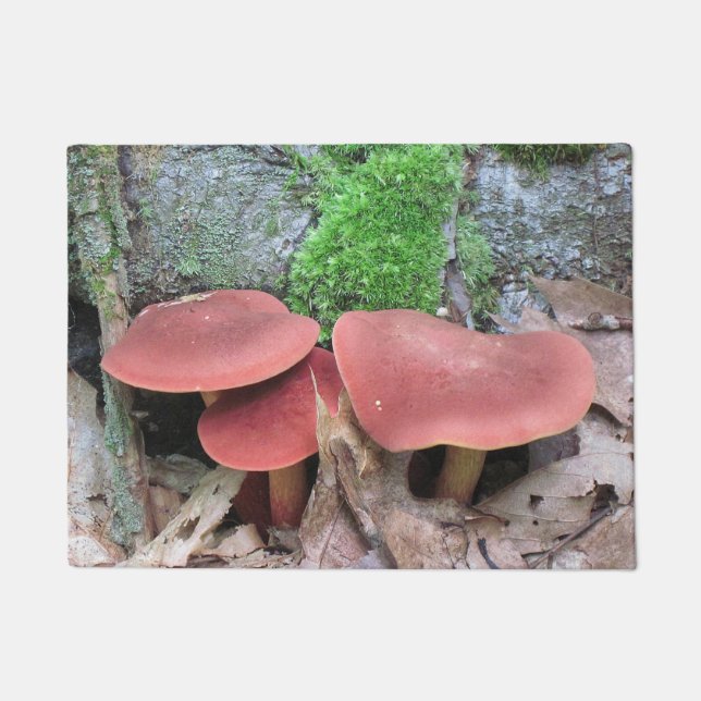 Woodsy Mushroom Fußmatte (Vorderseite)