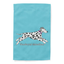 Woodwynd Dalmatiner schwarz & leber