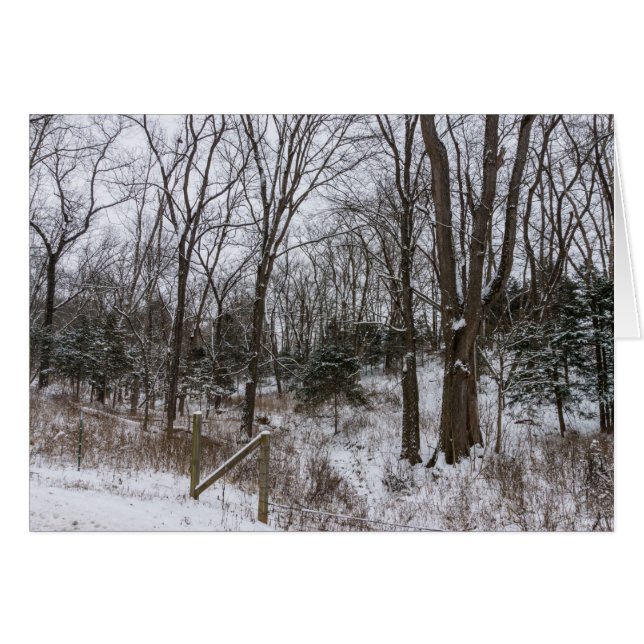 Woody Snow Day (Vorderseite (Horizontal))