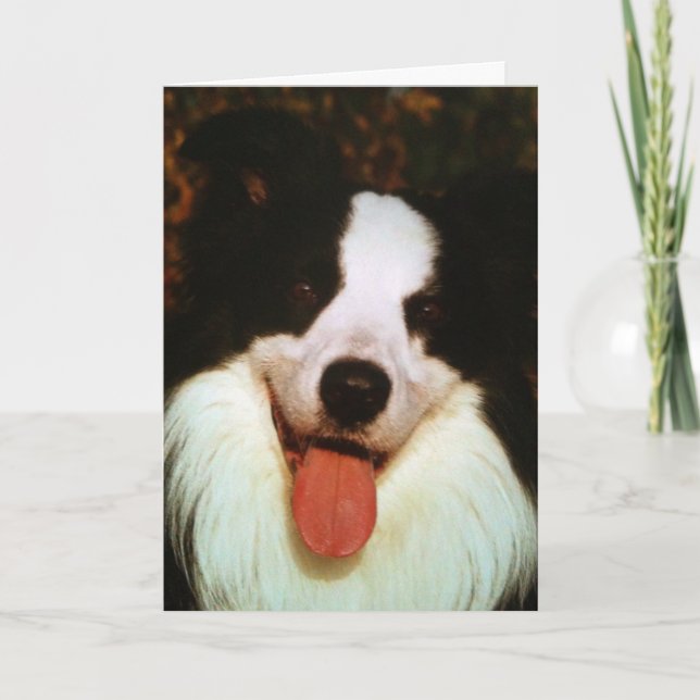 WOOF WOOF GLÜCKLICH BIRTHDAY HONEY KARTE (Vorderseite)