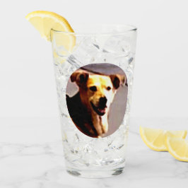 Woofs N' Wags Glas