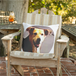 Woofs N' Wags Kissen