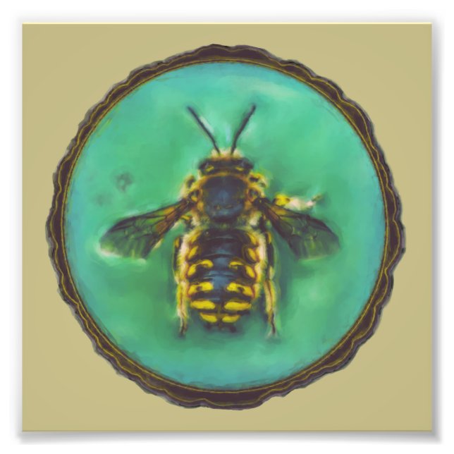 Wool Carder Bee Fotodruck (Vorne)