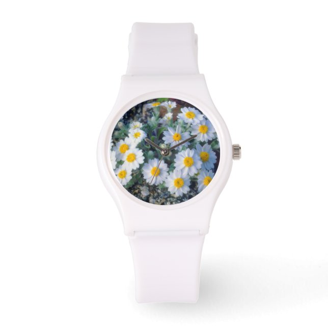 Wooly Daisy Wildblumen Armbanduhr (Vorderseite)