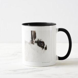 Wooly Kaninchen Jerseys Tasse