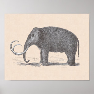 Wooly Mammoth Extinct Mastodon Funny Vintag Poster