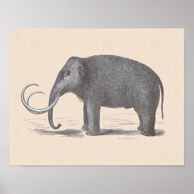 Wooly Mammoth Extinct Mastodon Funny Vintag Poster (Vorne)