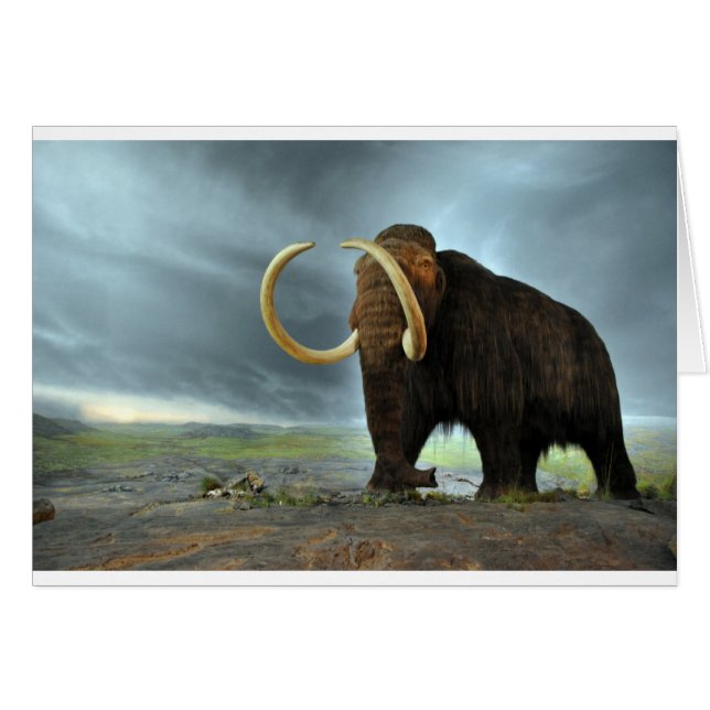 Wooly Mammoth Mod Destiny (Vorderseite (Horizontal))