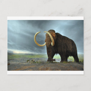 Wooly Mammoth Mod Destiny Postkarte