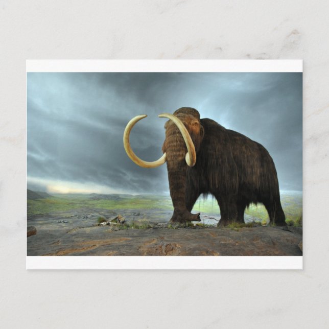 Wooly Mammoth Mod Destiny Postkarte (Vorderseite)
