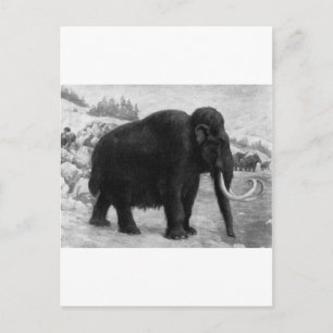 Wooly Mammoth Mod Destiny Postkarte