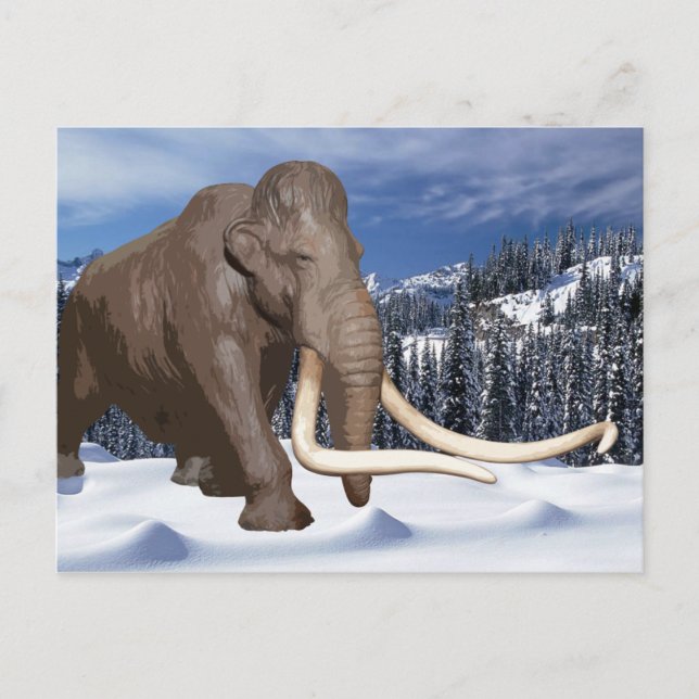Wooly Mammoth Postcard Postkarte (Vorderseite)