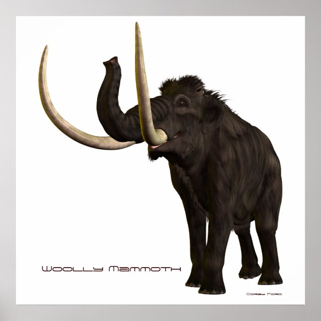 Wooly Mammoth Print Poster (Vorne)