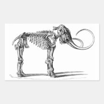 Wooly Mammoth Skeleton Aufkleber