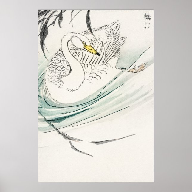 Wooper-Schwan-Illustration. Poster (Vorne)