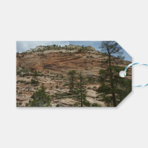 Work Rock Walls im Zion Nationalpark Geschenkanhänger